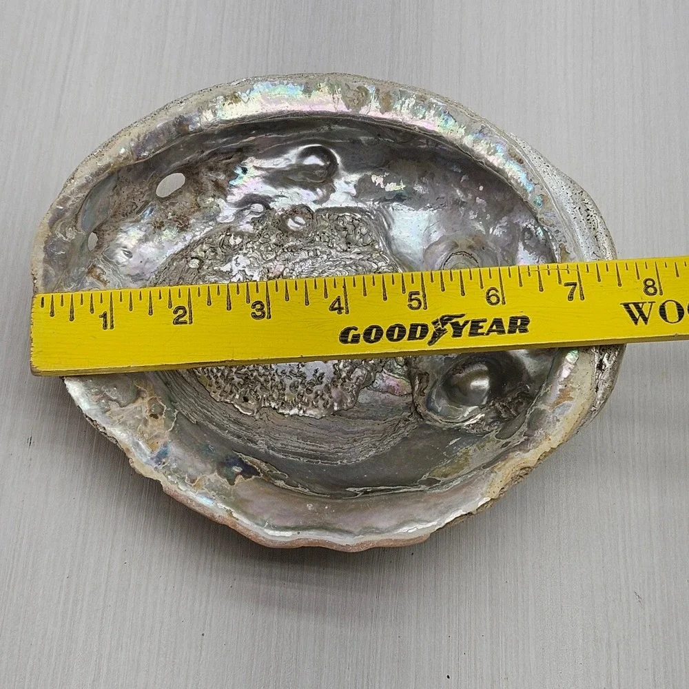 Large Natural Abalone Shell Iridescent Mother of‎ Pearl Smudging Bowl